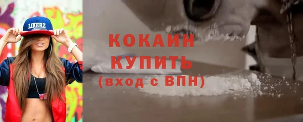 гидра Алексин