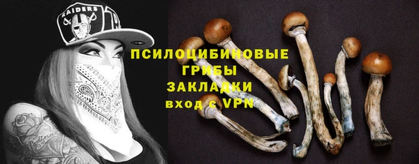 гидра Алексин
