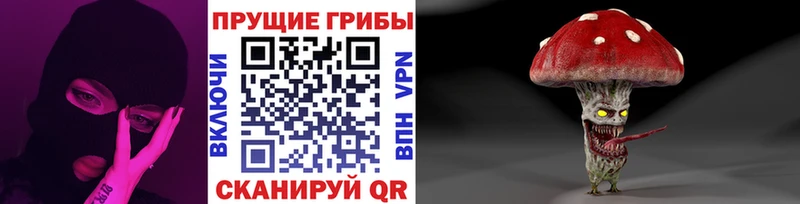 Галлюциногенные грибы Cubensis  наркота  Чердынь 